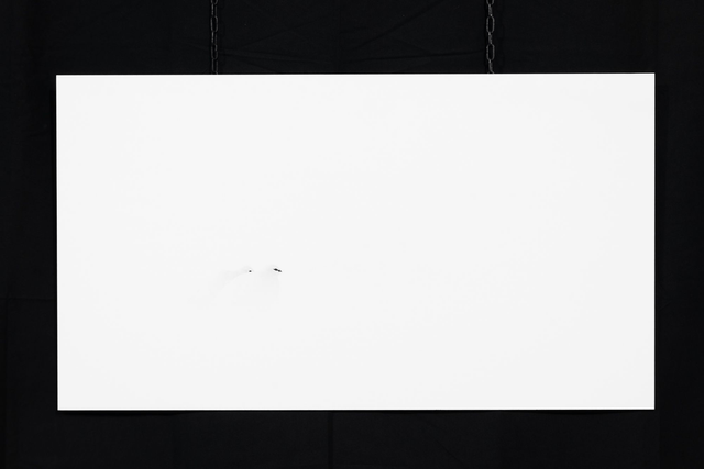 Photo "Fjällripa" en grand format et très haute qualité