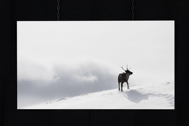 Photo "La récompense" en grand format et très haute qualité