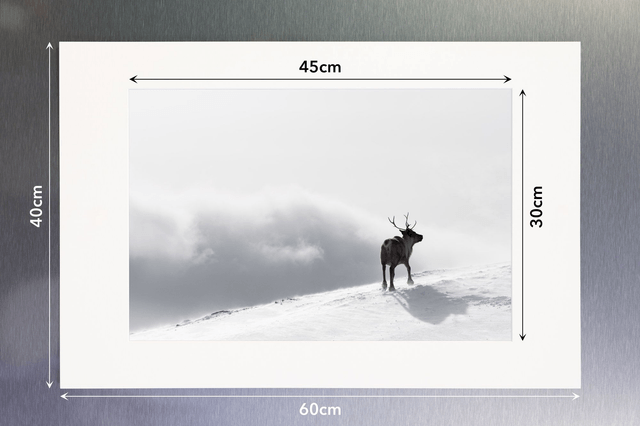 Photo "La récompense" avec passe-partout