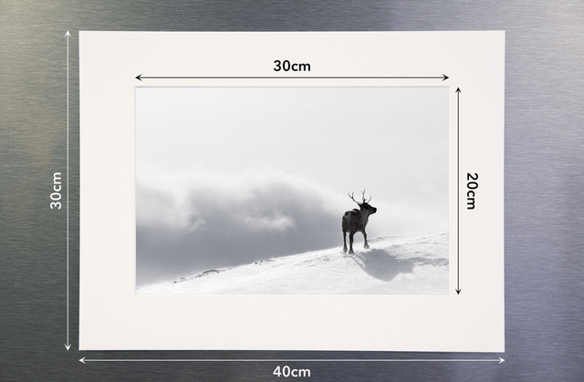 Photo "La récompense" avec passe-partout