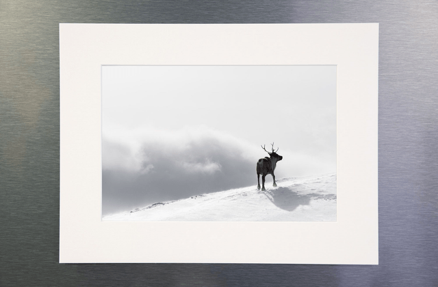 Photo "La récompense" avec passe-partout