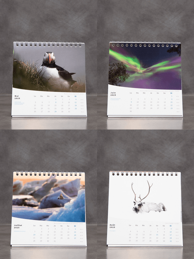 Calendrier chevalet 2025