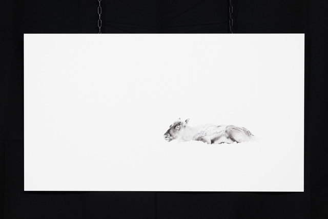 Photo "Sérénité" en grand format et très haute qualité