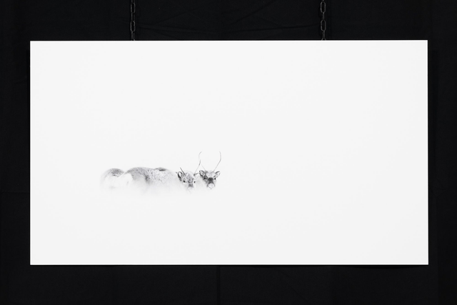 Photo "La rencontre" en grand format et très haute qualité