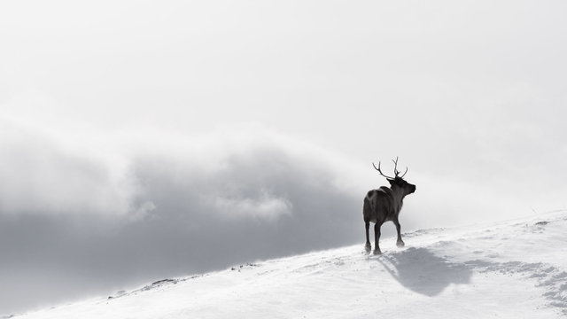 Photo "La récompense" avec passe-partout