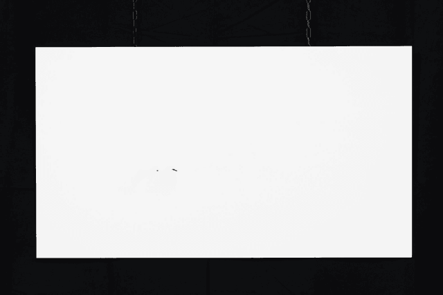 Photo &quot;Fjällripa&quot; en grand format et très haute qualité
