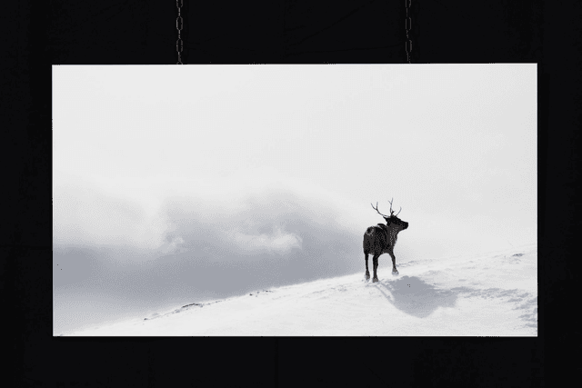 Photo &quot;La récompense&quot; en grand format et très haute qualité